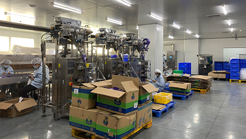 五金分揀包裝機(jī)的作用是什么？